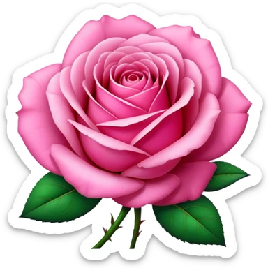 Rosa color rosa  sticker