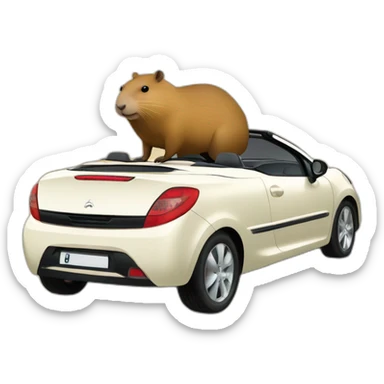 capybara in a peugeot 207 coupé cabriolet sticker