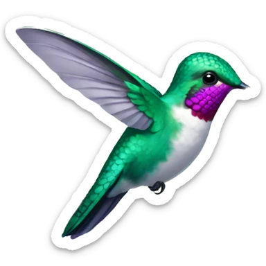 Hummingbird  sticker