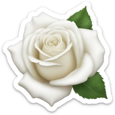 White rose sticker