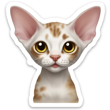 Devon rex kitten  sticker
