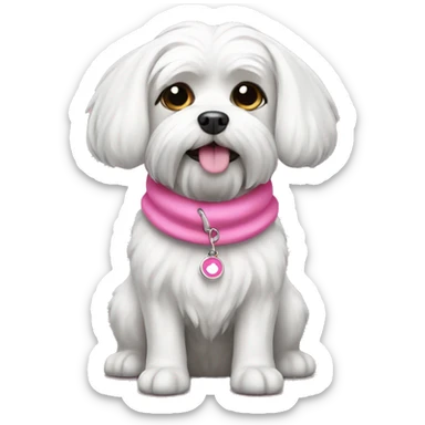 Maltese dog with colllar pink sticker