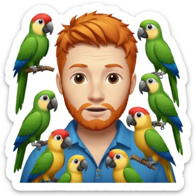 Ginger man with parrots and other birds around him ￼ sticker