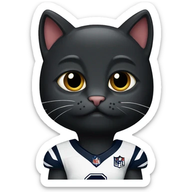 black cat wearing New England Patriots Jersey sticker
