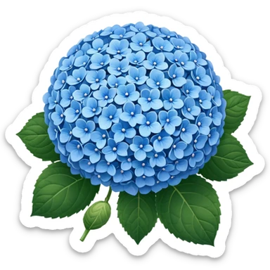 hydrangea sticker
