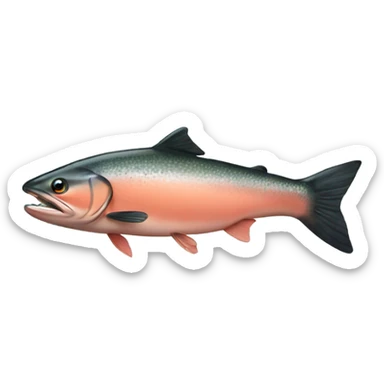 salmon sticker