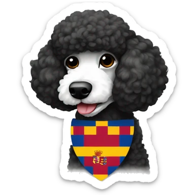 black and white poodle with a Barcelona flag sticker