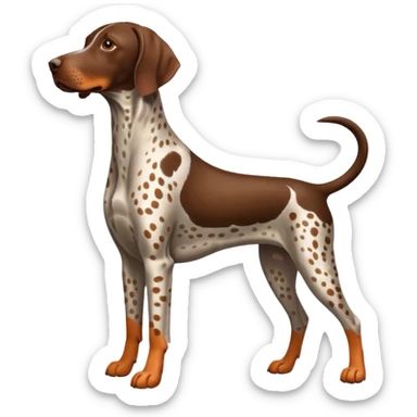 orange spotted face and back german short haired pointer docked tail sticker