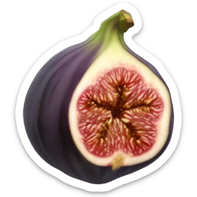 Fig sticker