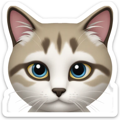 Gato siamés snowshoe sticker