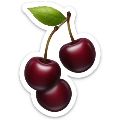 two burgundy cherries on black stem sticker