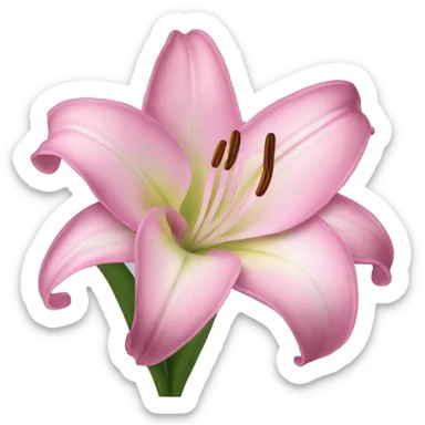 pink lily sticker