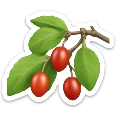 a cornelian berry sticker