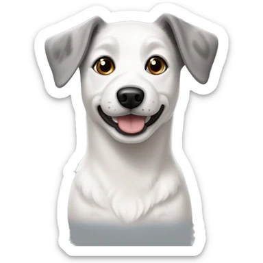 white and gray dog with dark gray ears, mixed breed with Jack Russel and bichon frize sticker