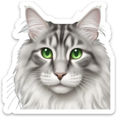 White and grey main coon cat with green eyes sticker