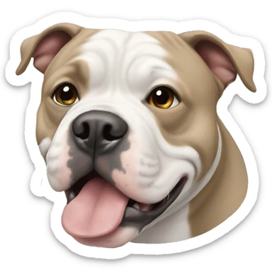 American Bully sticker