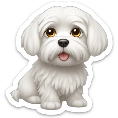 Male maltese sticker