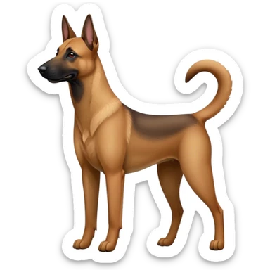 Malinois charbonnée  sticker
