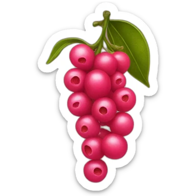 pink peppercorn sticker