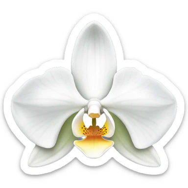 White orchid sticker