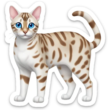 Snow minx bengal cat full body blue eyes sticker