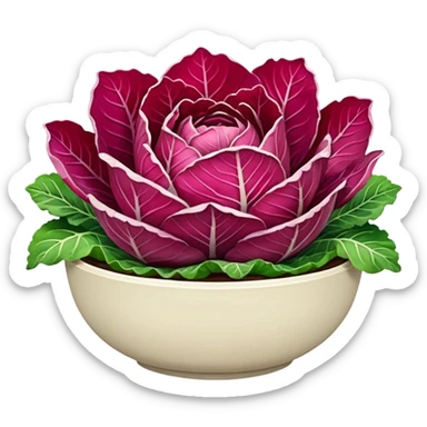 red napa cabbage in a bowl sticker