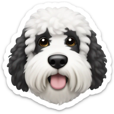 @oatmealthesheepadoodle from Instagram the coloring around his left eye is black and the coloring around his right eye is white  sticker