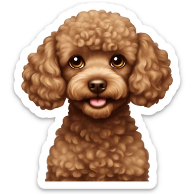 Brown toy poodle  sticker