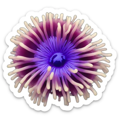 ping sea anemone sticker