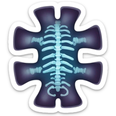 X Ray sticker