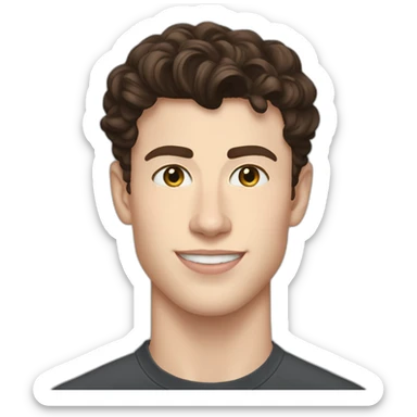 Shawn Mendes 2023 sticker