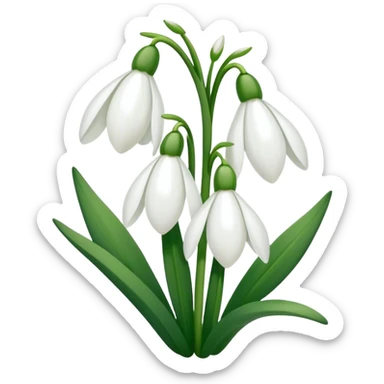 Snowdrop flowers sticker