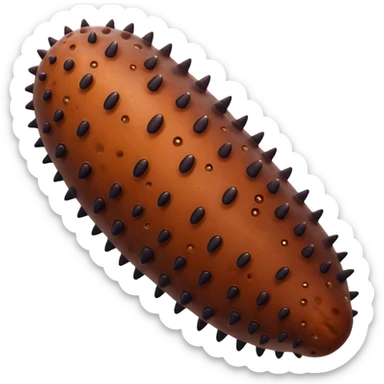 Sea cucumber sticker