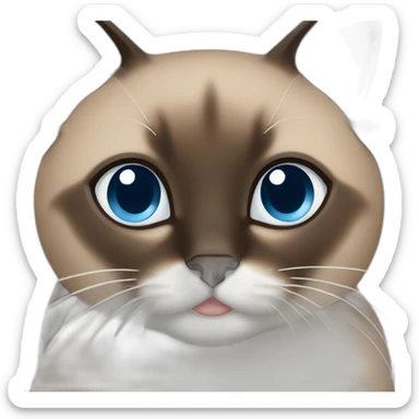 Brown and black siamese Cat with blue eyes and white chin sticker