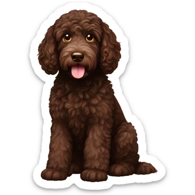 Chocolate labradoodle sticker