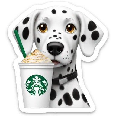 dalmatien drinking starbucks  sticker