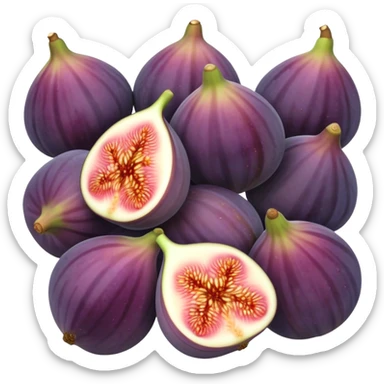 Figs sticker