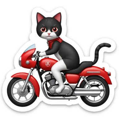 Black and white Cat on red and black motorcycle sticker