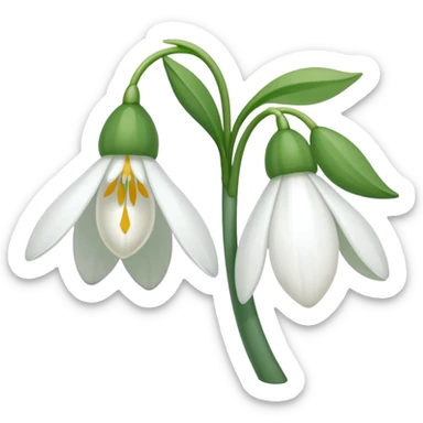 snowdrop flower sticker