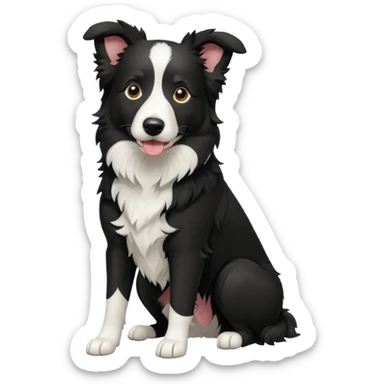 border-collie-all black- no white sticker