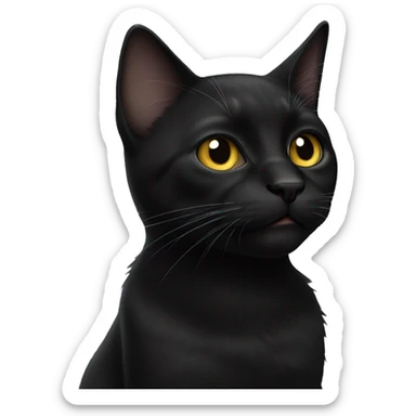 black cat sticker
