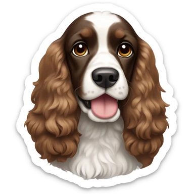 Brown and white party cocker spaniel sticker