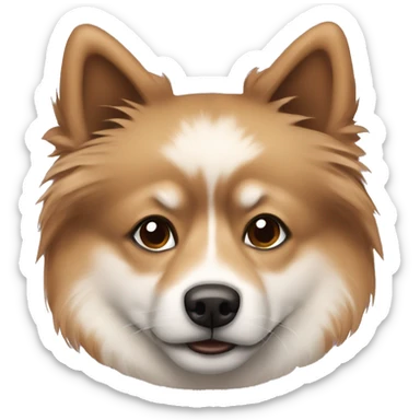 Brown finnisch Lapphund with dark brown spots on his face sticker
