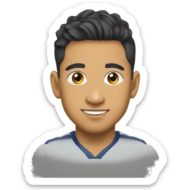 Cheslin kolbe sticker