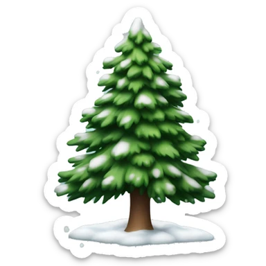 green spruce tree with snow on the branches sticker