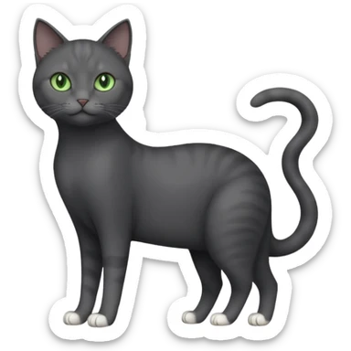 full body view of beautiful female dark grey cat with green eyes, white toes and white patch on chest sticker