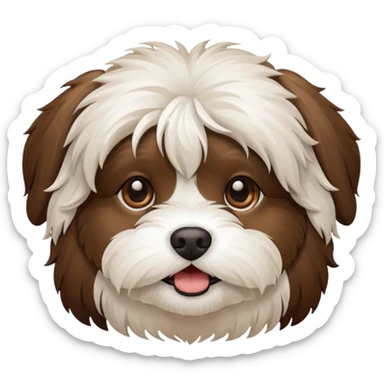 havanese brown and white sticker