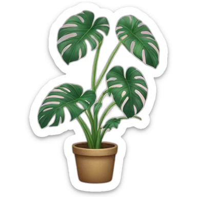 Pink Monstera plant sticker