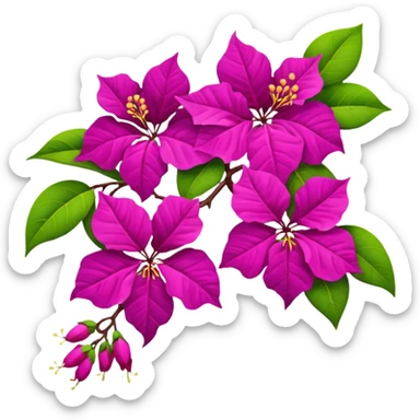Bougainvillea sticker
