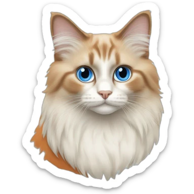 orange bicolor ragdoll cat blue eyes sticker